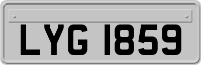 LYG1859