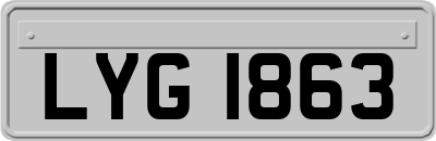 LYG1863
