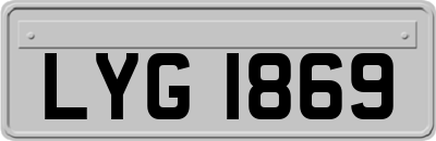 LYG1869