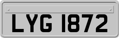 LYG1872