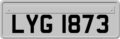 LYG1873