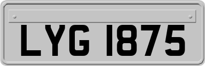 LYG1875