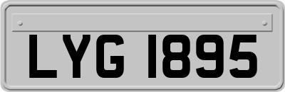 LYG1895
