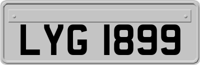 LYG1899