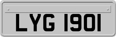 LYG1901