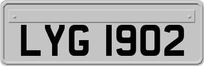LYG1902