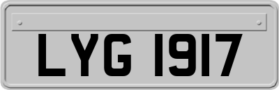 LYG1917