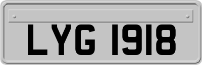 LYG1918