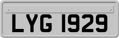 LYG1929