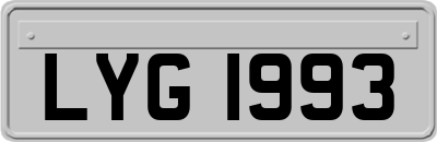 LYG1993