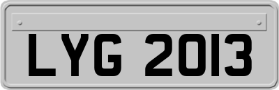 LYG2013