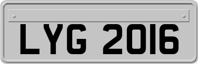 LYG2016