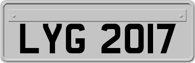 LYG2017