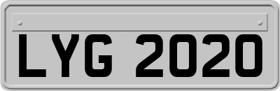 LYG2020