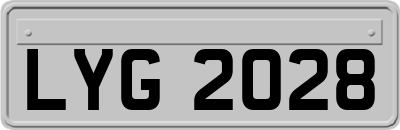 LYG2028