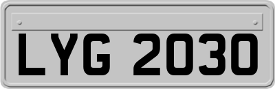 LYG2030