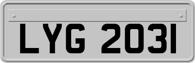 LYG2031