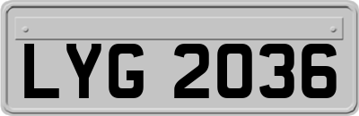 LYG2036