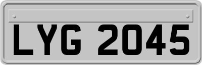 LYG2045