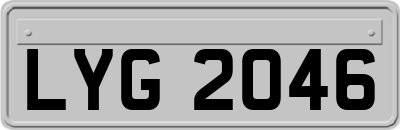 LYG2046