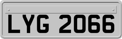 LYG2066