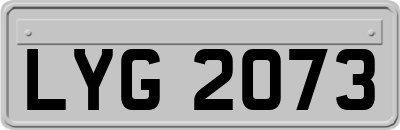 LYG2073