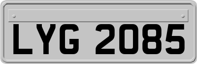 LYG2085