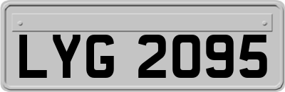 LYG2095