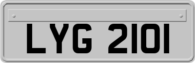 LYG2101