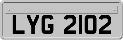 LYG2102