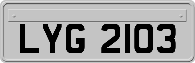 LYG2103