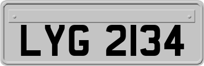 LYG2134