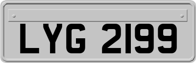 LYG2199