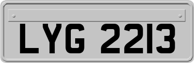 LYG2213