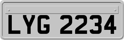 LYG2234