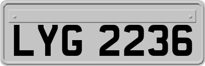LYG2236