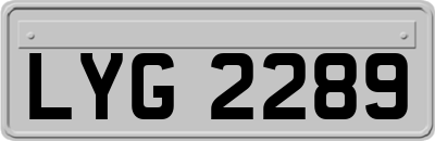 LYG2289