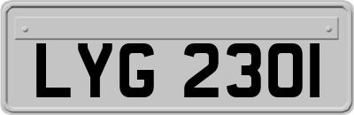 LYG2301