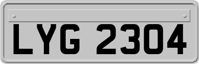 LYG2304
