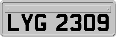 LYG2309