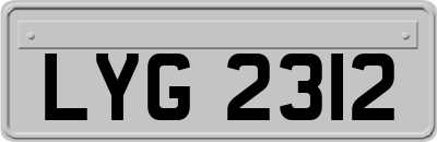 LYG2312