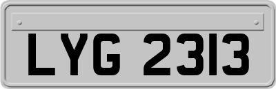 LYG2313