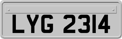 LYG2314