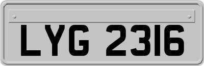 LYG2316