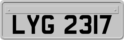 LYG2317