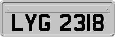 LYG2318