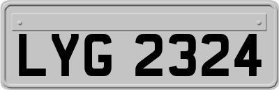 LYG2324