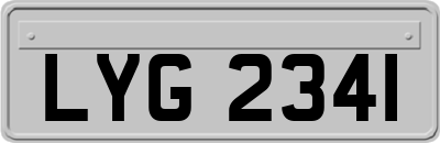 LYG2341
