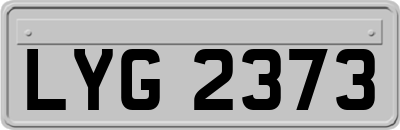 LYG2373