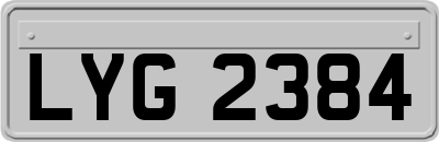LYG2384